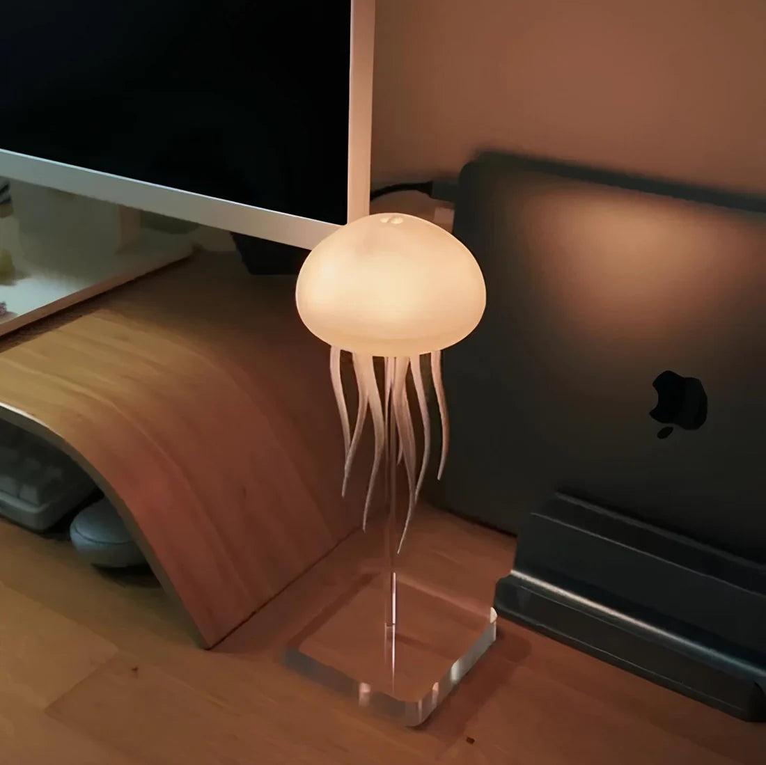Jellyfish Lamp